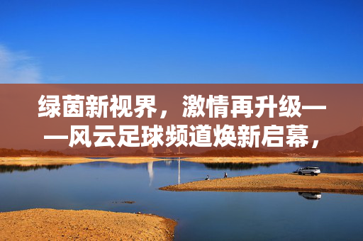 绿茵新视界，激情再升级——风云足球频道焕新启幕，风云足球频道焕新启幕