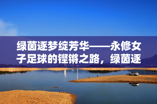 绿茵逐梦绽芳华——永修女子足球的铿锵之路,绿茵逐梦绽芳华——永修女子足球铿锵之路