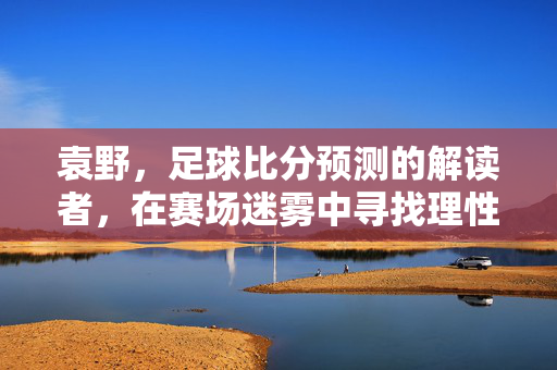 袁野，足球比分预测的解读者，在赛场迷雾中寻找理性之光