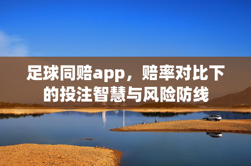 足球同赔app，赔率对比下的投注智慧与风险防线