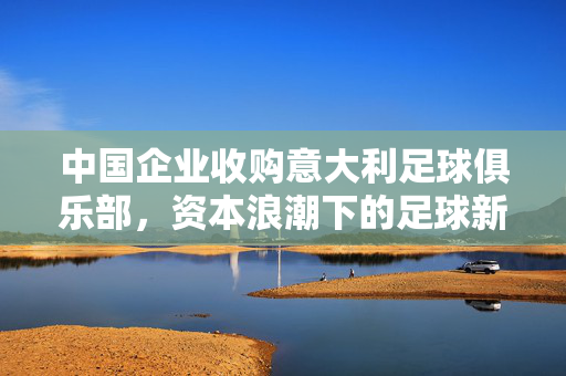 中国企业收购意大利足球俱乐部，资本浪潮下的足球新篇章，中国企业收购意大利俱乐部，资本浪潮下的足球新章