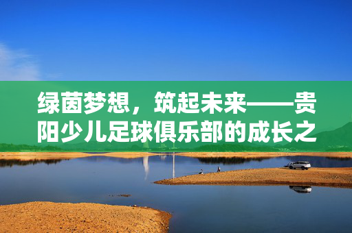绿茵梦想，筑起未来——贵阳少儿足球俱乐部的成长之路，绿茵梦想筑未来，贵阳少儿足球成长之路