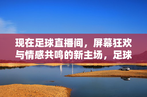 现在足球直播间，屏幕狂欢与情感共鸣的新主场，足球直播间，屏幕狂欢与情感共鸣的新主场