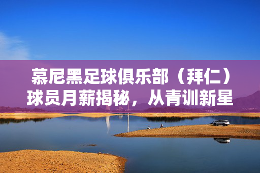 慕尼黑足球俱乐部（拜仁）球员月薪揭秘，从青训新星到核心巨星，薪资体系如何支撑豪门竞争力？