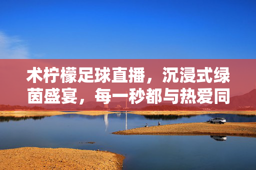 术柠檬足球直播，沉浸式绿茵盛宴，每一秒都与热爱同频，术柠檬足球直播，沉浸绿茵盛宴，每一秒与热爱同频