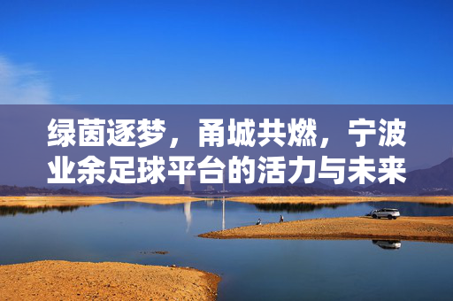 绿茵逐梦，甬城共燃，宁波业余足球平台的活力与未来