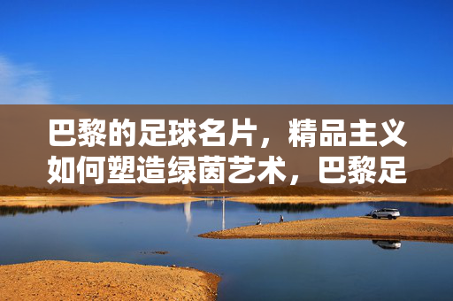 巴黎的足球名片，精品主义如何塑造绿茵艺术，巴黎足球，精品主义铸就绿茵艺术