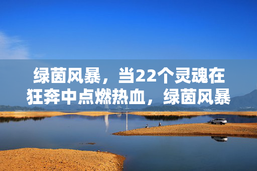 绿茵风暴，当22个灵魂在狂奔中点燃热血，绿茵风暴，22人燃血狂奔