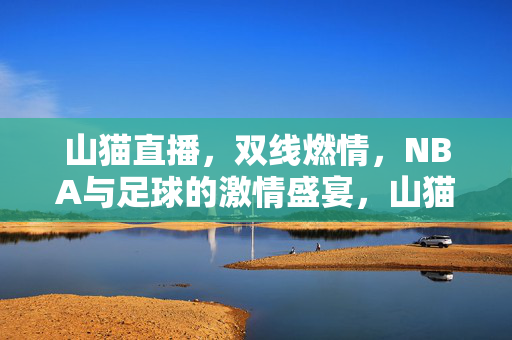 山猫直播，双线燃情，NBA与足球的激情盛宴，山猫直播双线燃情，NBA与足球激情盛宴