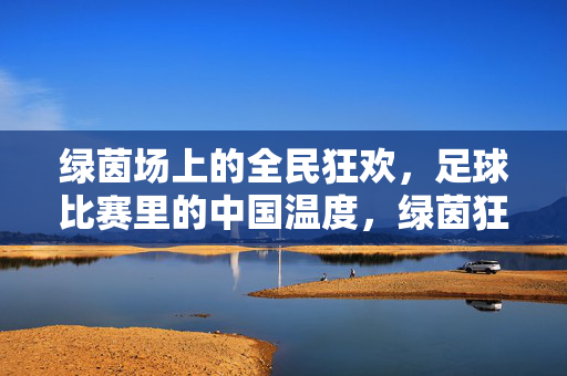 绿茵场上的全民狂欢，足球比赛里的中国温度，绿茵狂欢里的中国温度