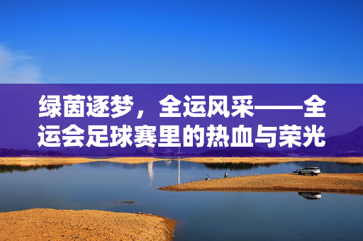 绿茵逐梦，全运风采——全运会足球赛里的热血与荣光，绿茵逐梦，全运荣光
