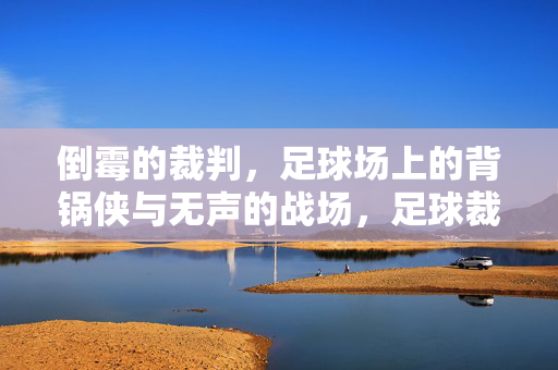 倒霉的裁判，足球场上的背锅侠与无声的战场，足球裁判，无声战场的背锅侠