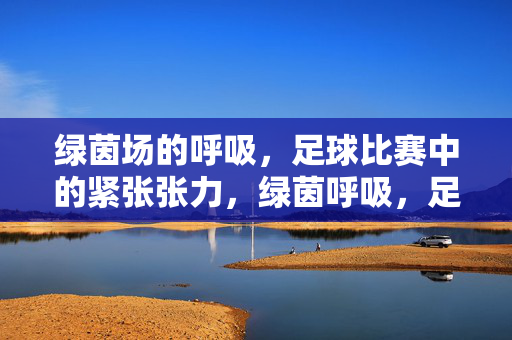绿茵场的呼吸，足球比赛中的紧张张力，绿茵呼吸，足球比赛的紧张张力