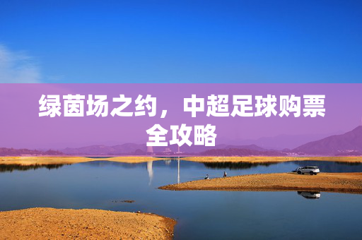 绿茵场之约，中超足球购票全攻略