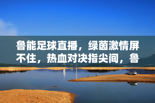 鲁能足球直播，绿茵激情屏不住，热血对决指尖间，鲁能足球直播，燃情绿茵对决，指尖直击热血