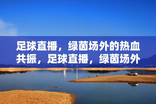 足球直播，绿茵场外的热血共振，足球直播，绿茵场外的热血共振