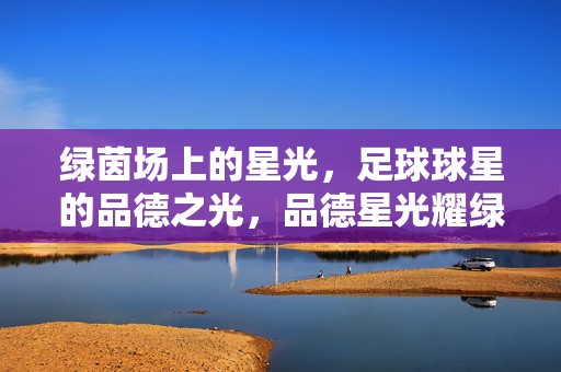 绿茵场上的星光，足球球星的品德之光，品德星光耀绿茵