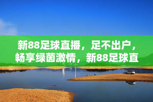新88足球直播，足不出户，畅享绿茵激情，新88足球直播，足不出户畅享绿茵激情