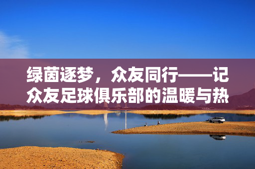 绿茵逐梦，众友同行——记众友足球俱乐部的温暖与热爱，绿茵逐梦，众友温暖同行