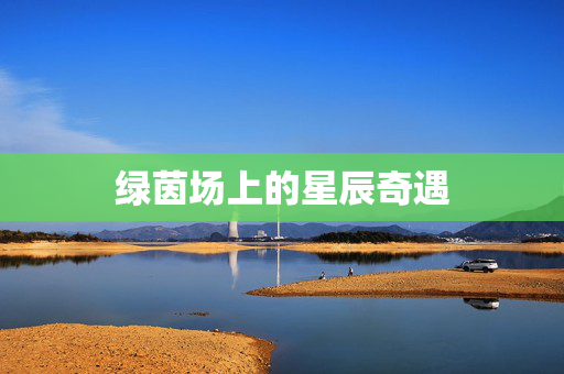 绿茵场上的星辰奇遇