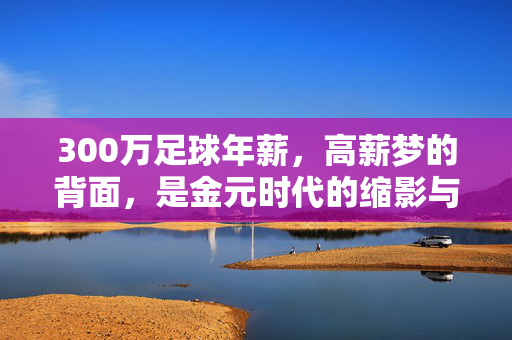 300万足球年薪，高薪梦的背面，是金元时代的缩影与反思，300万足球年薪，高薪梦背后，金元时代的缩影与反思