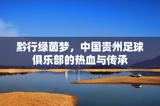 黔行绿茵梦,中国贵州足球俱乐部的热血与传承