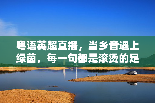 粤语英超直播,当乡音遇上绿茵,每一句都是滚烫的足球记忆