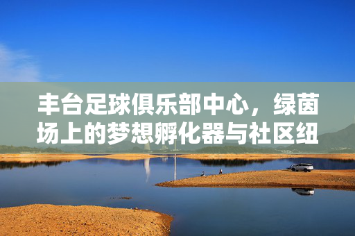 丰台足球俱乐部中心,绿茵场上的梦想孵化器与社区纽带,丰台足球俱乐部中心,绿茵场上的梦想孵化与社区纽带