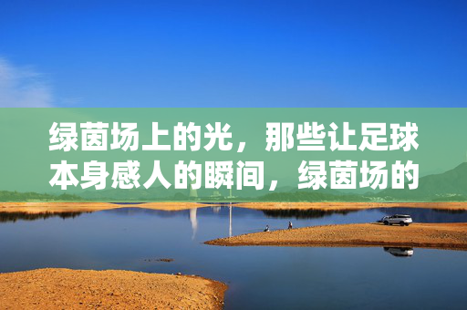 绿茵场上的光，那些让足球本身感人的瞬间，绿茵场的光，足球最动人的瞬间