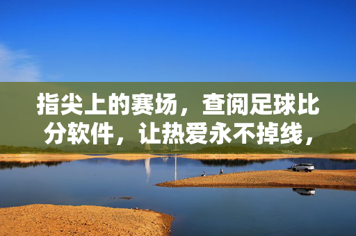 指尖上的赛场,查阅足球比分软件,让热爱永不掉线,指尖赛场,热爱不落幕