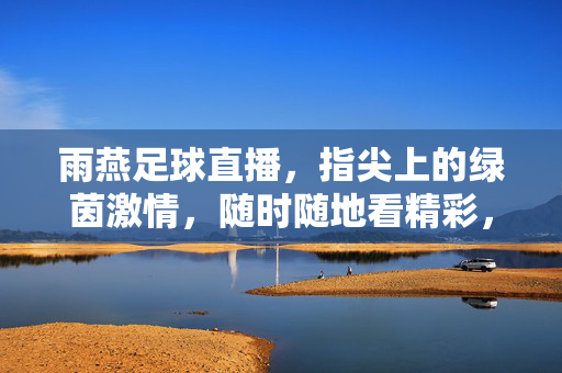 雨燕足球直播，指尖上的绿茵激情，随时随地看精彩，雨燕足球直播，指尖上的绿茵激情，随时随地看精彩