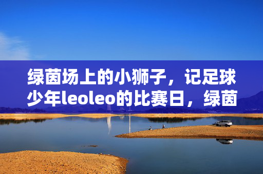 绿茵场上的小狮子，记足球少年leoleo的比赛日，绿茵场上的小狮子，足球少年leoleo的比赛日