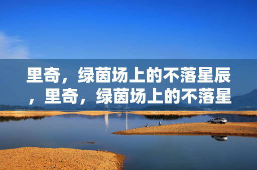里奇，绿茵场上的不落星辰，里奇，绿茵场上的不落星辰