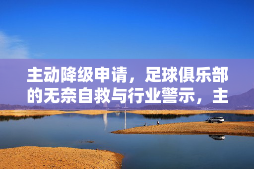 主动降级申请，足球俱乐部的无奈自救与行业警示，主动降级申请，足球俱乐部的无奈自救与行业警示