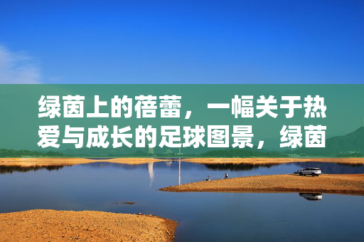 绿茵上的蓓蕾，一幅关于热爱与成长的足球图景，绿茵蓓蕾，热爱与成长的足球图景