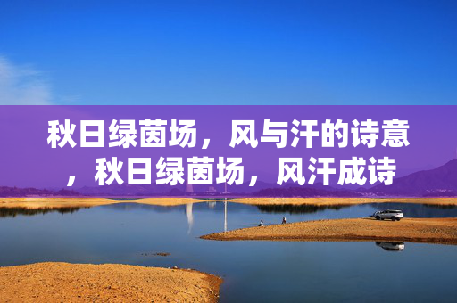 秋日绿茵场,风与汗的诗意,秋日绿茵场,风汗成诗