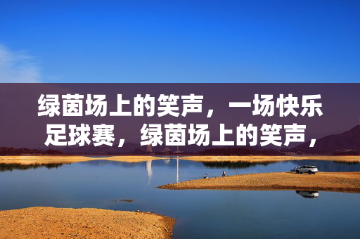 绿茵场上的笑声，一场快乐足球赛，绿茵场上的笑声，快乐足球赛