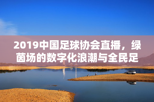 2019中国足球协会直播，绿茵场的数字化浪潮与全民足球狂欢，2019中国足协直播，数字化浪潮点燃全民足球狂欢