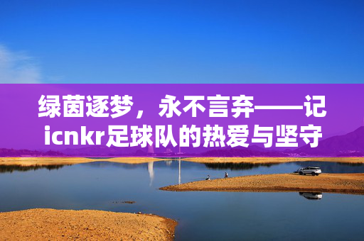 绿茵逐梦，永不言弃——记icnkr足球队的热爱与坚守