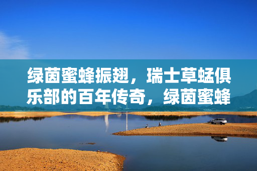 绿茵蜜蜂振翅,瑞士草蜢俱乐部的百年传奇,绿茵蜜蜂振翅,瑞士草蜢俱乐部的百年传奇