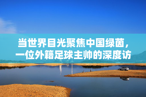当世界目光聚焦中国绿茵，一位外籍足球主帅的深度访谈与思考，外籍主帅的中国绿茵深度访谈与思考