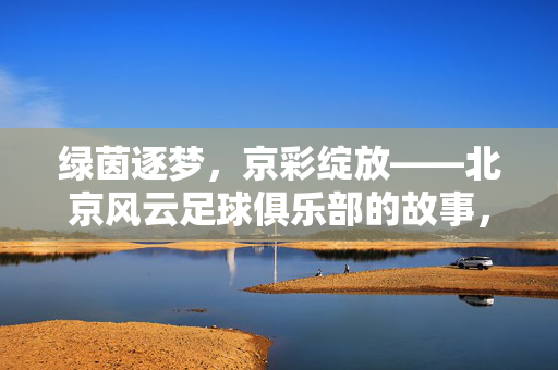 绿茵逐梦，京彩绽放——北京风云足球俱乐部的故事，绿茵逐梦，京彩绽放——北京风云足球俱乐部的故事