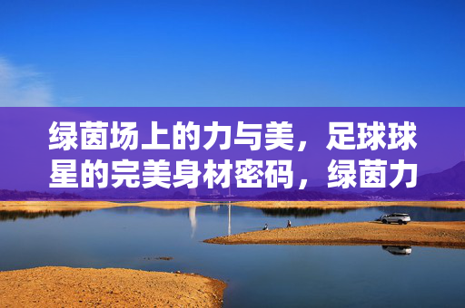 绿茵场上的力与美，足球球星的完美身材密码，绿茵力与美，足球球星的完美身材密码
