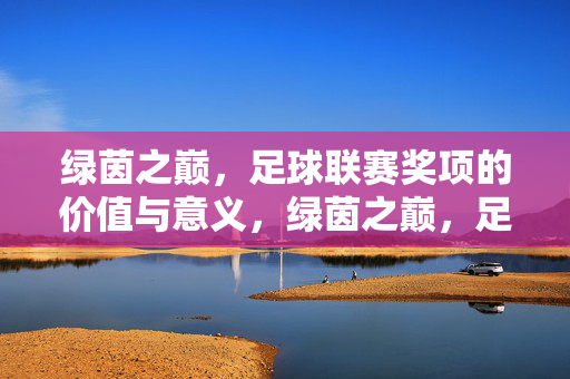 绿茵之巅，足球联赛奖项的价值与意义，绿茵之巅，足球联赛奖项的价值与意义