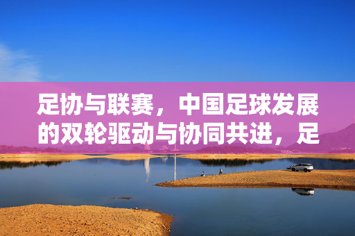 足协与联赛，中国足球发展的双轮驱动与协同共进，足协与联赛，中国足球发展的双轮驱动与协同共进