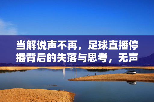 当解说声不再，足球直播停播背后的失落与思考，无声的赛场，足球直播停播背后的失落与思考