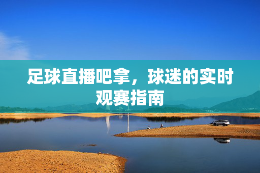 足球直播吧拿，球迷的实时观赛指南