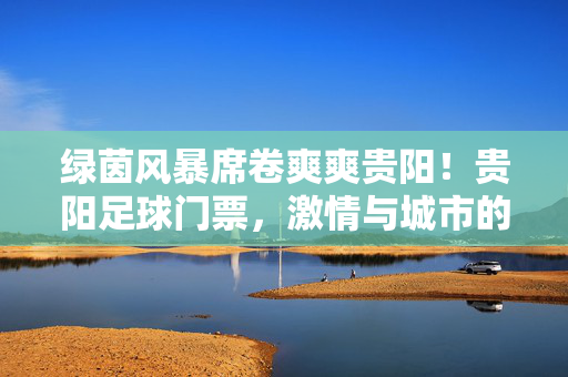绿茵风暴席卷爽爽贵阳!贵阳足球门票,激情与城市的双向奔赴,绿茵风暴席卷爽爽贵阳!足球激情与城市双向奔赴