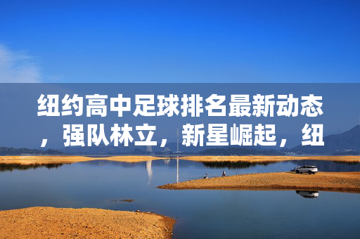纽约高中足球排名最新动态，强队林立，新星崛起，纽约高中足球最新动态，强队林立新星崛起