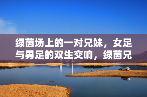 绿茵场上的一对兄妹，女足与男足的双生交响，绿茵兄妹，女足男足的双生交响